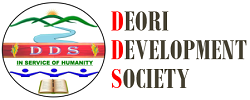 DDS LOGO